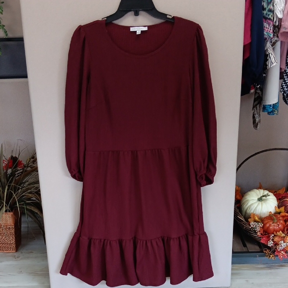 Sandra Darren Deep Red Knit Dress - Picture 1 of 3